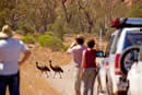 Flinders Ranges - Sth Australia