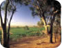 Visit australian wineries