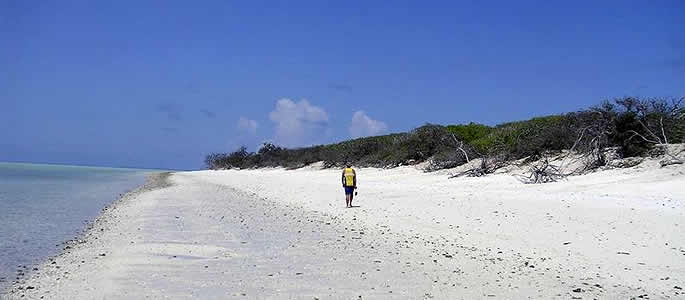 North West Island - Whitsundays Queensland