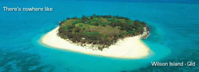 Wilson Island