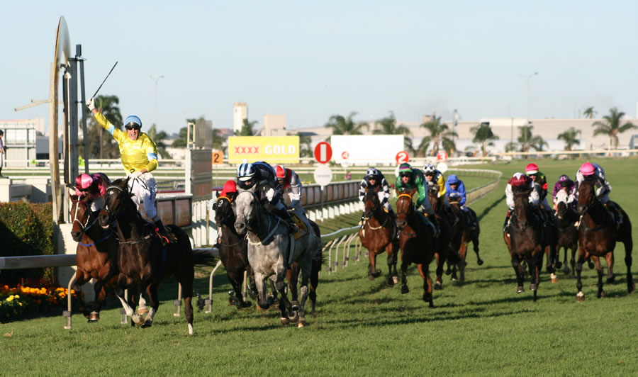 Cup Horse Racing