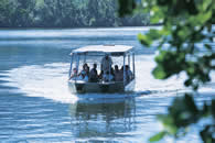 The Daintree National Park. Queensland Australia